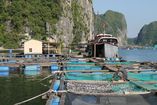 IMG_3254.JPG