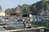 IMG_3256.JPG