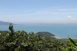IMG_3406.JPG